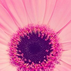 Meet your Posher, Yosdy